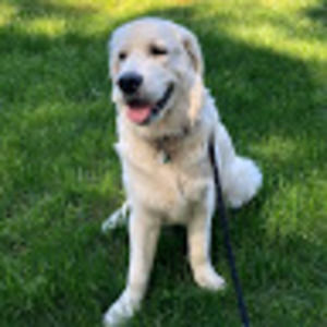 Meet your Posher, Karen